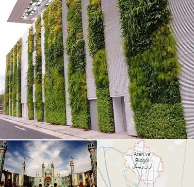 دیوار سبز در آران و بیدگل