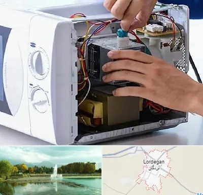 قطعات مایکروفر در لردگان