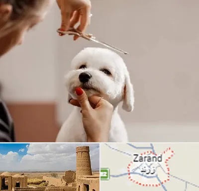 آرایشگاه پت در زرند