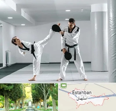 باشگاه رزمی در استهبان
