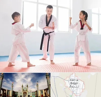 مربی رزمی در آران و بیدگل