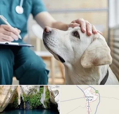 کلینیک دامپزشکی در خورموج