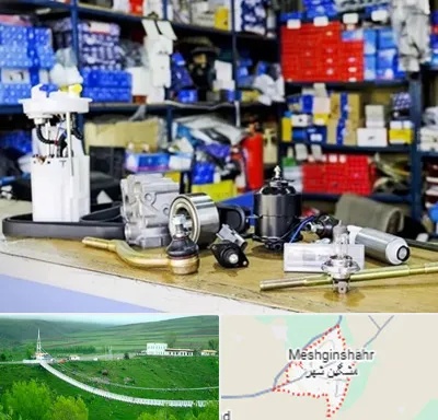 فروشگاه لوازم خودرو در مشگین شهر