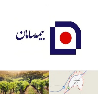 بیمه سامان در تاکستان