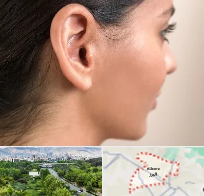 عمل گوش بل در البرز