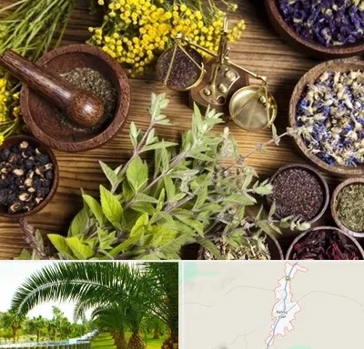 دکتر طب سنتی خانم در کهنوج