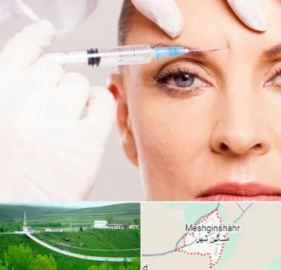 مزوژل در مشگین شهر