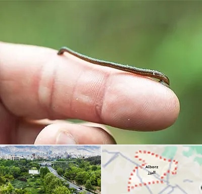 مرکز زالو درمانی در البرز