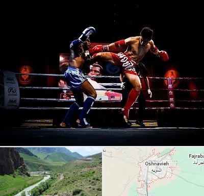 باشگاه موی تای در اشنویه