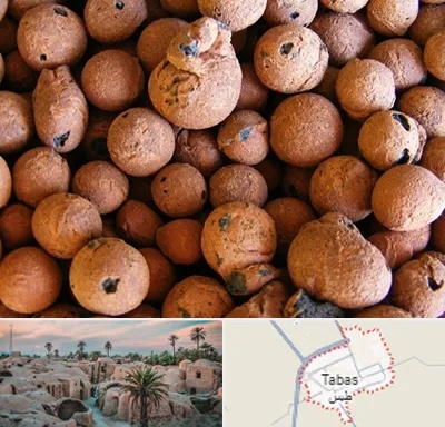پوکه صنعتی در طبس