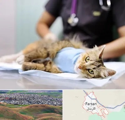 جراح حیوانات در فارسان