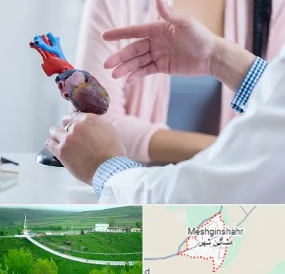 بیمارستان قلب در مشگین شهر