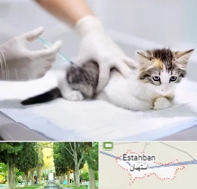 واکسیناسیون حیوانات در استهبان