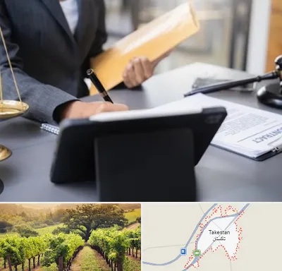 وکیل خانم در تاکستان