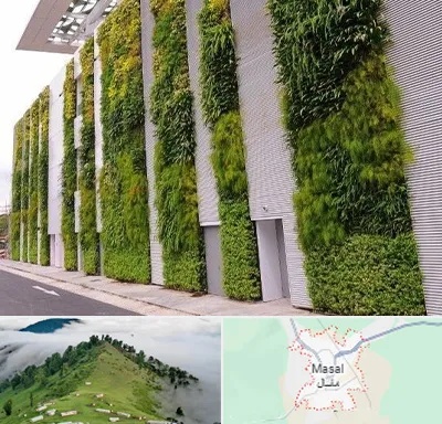 دیوار سبز در ماسال