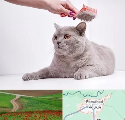 آرایشگاه گربه در پارس آباد