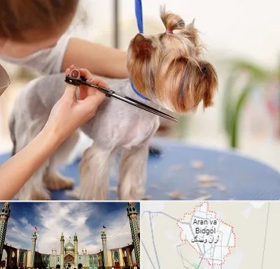 آرایشگاه سگ در آران و بیدگل