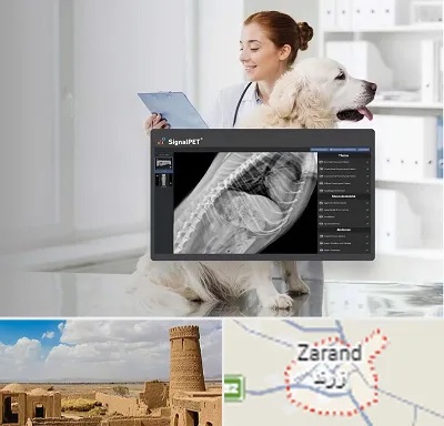 رادیولوژی حیوانات در زرند