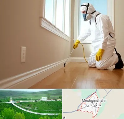 سمپاشی منازل در مشگین شهر