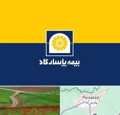 بیمه پاسارگاد در پارس آباد