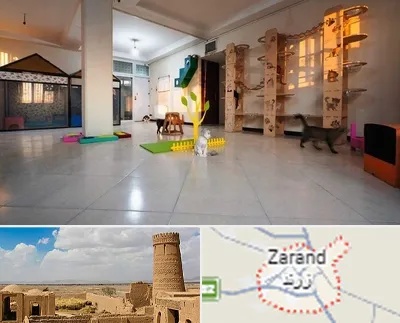 پانسیون گربه در زرند