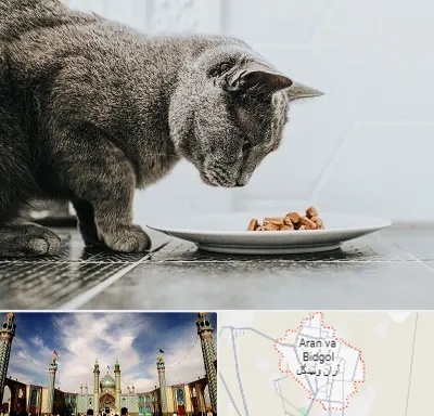 خرید غذای گربه در آران و بیدگل