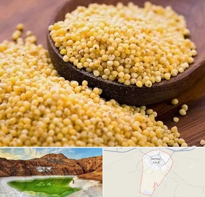 فروش ارزن در گرمسار
