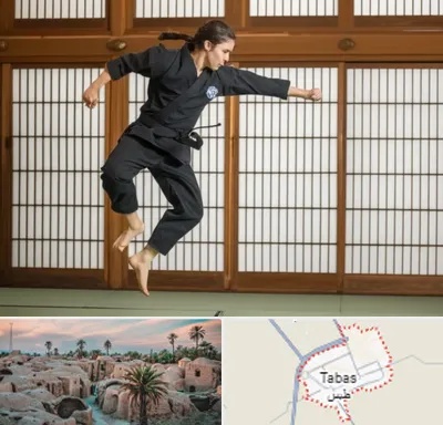 باشگاه نینجا در طبس