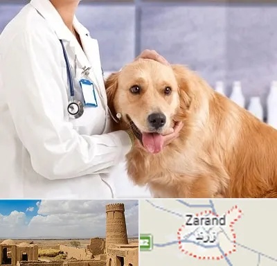 کلینیک دامپزشکی شبانه روزی در زرند