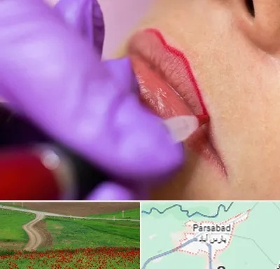 تاتو لب در پارس آباد