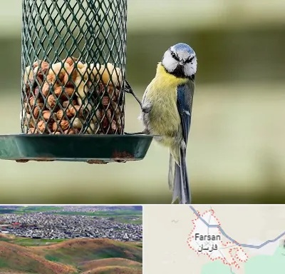 فروشگاه غذای پرندگان در فارسان