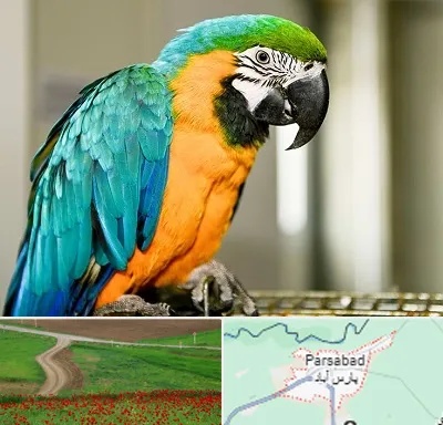 داروخانه شبانه روزی پرندگان در پارس آباد