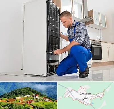 تعمیرکار سیار یخچال در املش