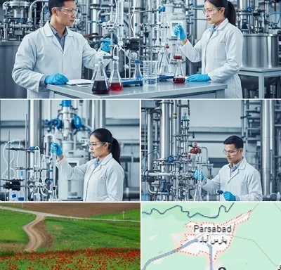 صنایع شیمیایی در پارس آباد