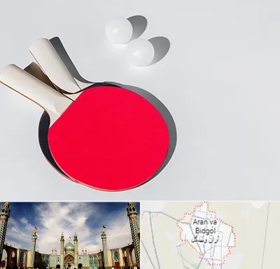 باشگاه پینگ پنگ در آران و بیدگل