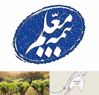 بیمه معلم در تاکستان