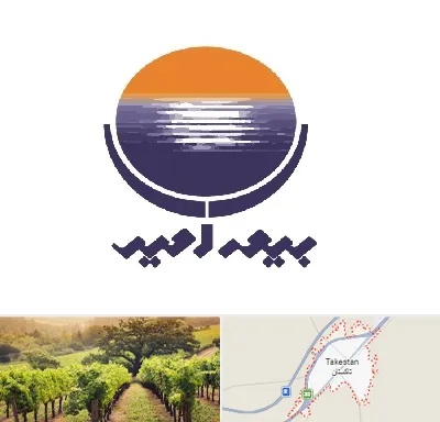 بیمه امید در تاکستان