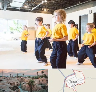 باشگاه کنگ فو در طبس