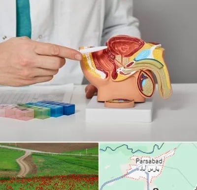 دکتر اورولوژی در پارس آباد