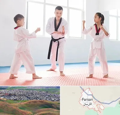 مربی رزمی در فارسان