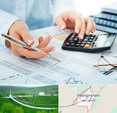 موسسه حسابرسی در مشگین شهر