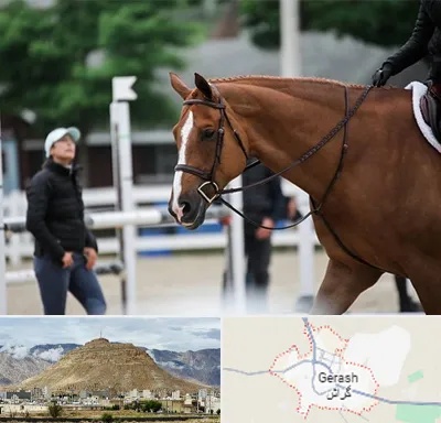 مربی سوارکاری در گراش