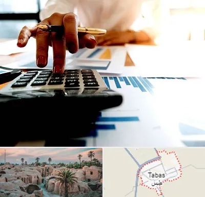 مشاور مالیاتی در طبس