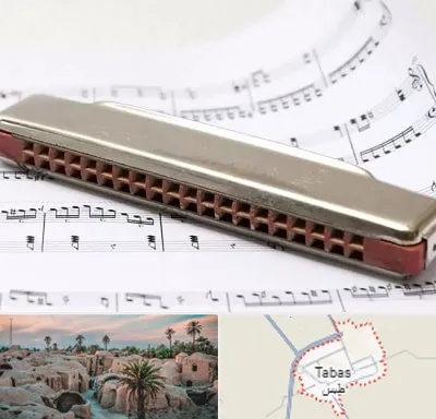 آموزشگاه ساز دهنی در طبس