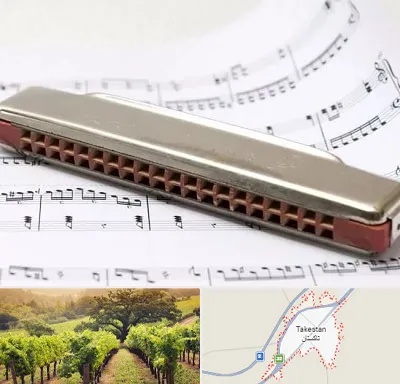 آموزشگاه ساز دهنی در تاکستان