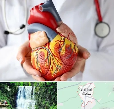 دکتر متخصص قلب و عروق در سیاهکل