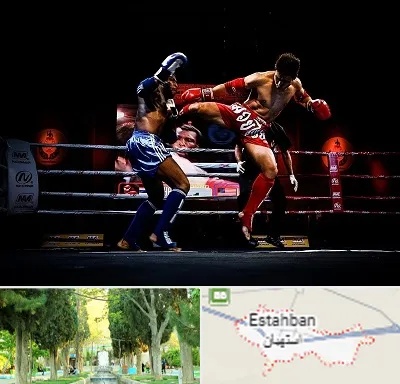باشگاه موی تای در استهبان
