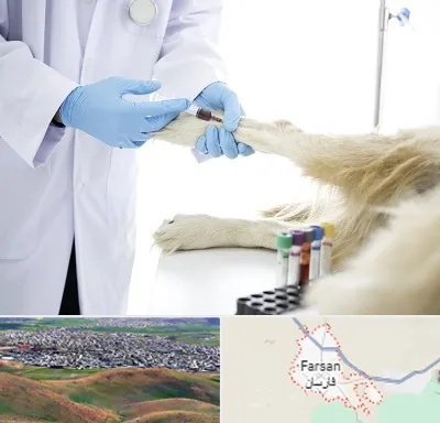 آزمایشگاه حیوانات در فارسان