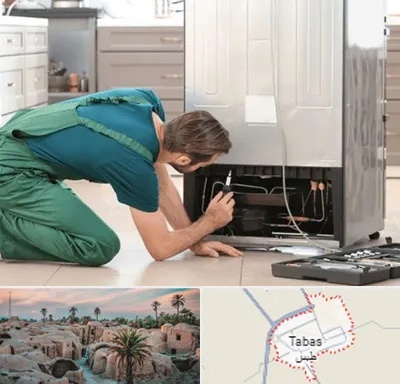 تعمیرکار فریزر در طبس