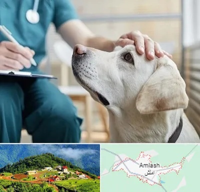 کلینیک دامپزشکی در املش